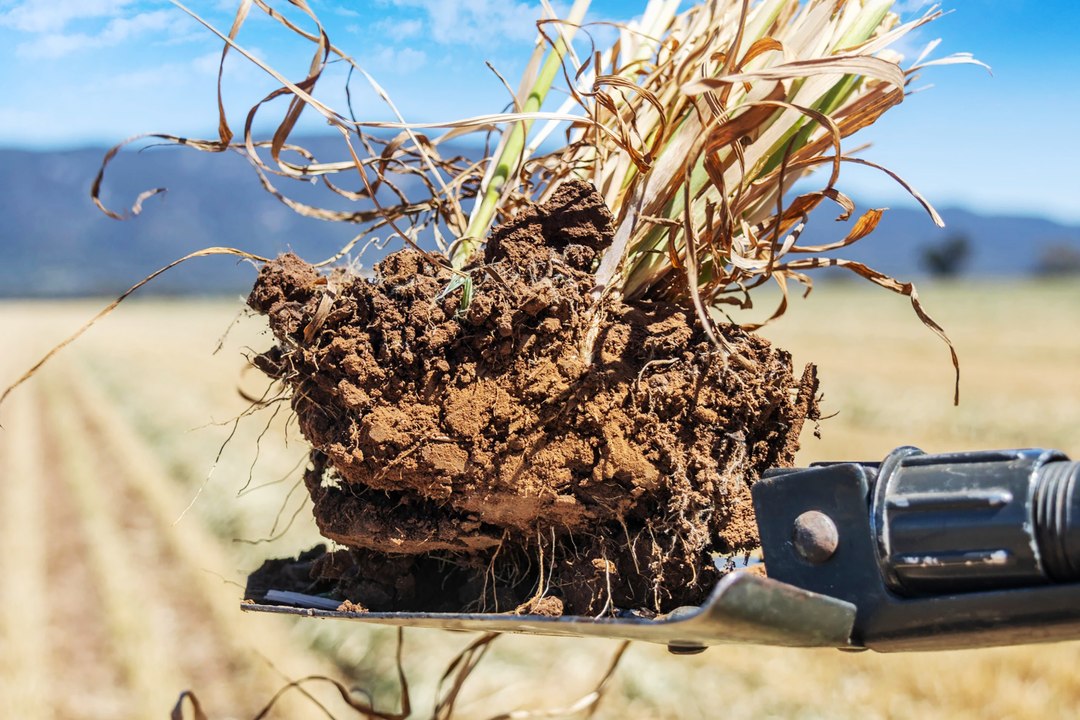 Flinders Ranges farm Denham offered at Melrose auction.