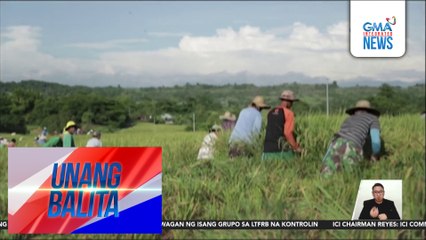 COA – 58,784 na nakatanggap ng rice farmers financial assistance mula Dept. of Agriculture, hindi kuwalipikado | Unang Balita