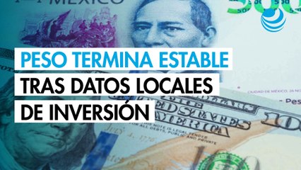 Peso termina estable frente al dólar tras datos locales de inversión