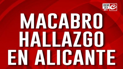 Macabro hallazgo en Alicante: encuentran muerta a una pareja argentina en España
