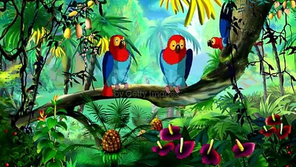 Main Totaa main Totaa Fevermakeup8409 Hindi RYHMES cartoon