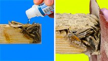 Instant Home Fixes: Pro Hacks for Everyday Problems
