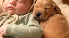 In a moment full of love and warmth, the baby sleeps next to his little puppy, a scene that beats with tenderness and comfort. 🐶❤️ #baby #puppy #ai