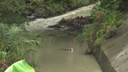 Contenido exclusivo: Salvar el río Matasnillo, ¿a qué costo?