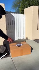 He stole the package… but karma sent DIRTY DIAPERS 💩📦😂