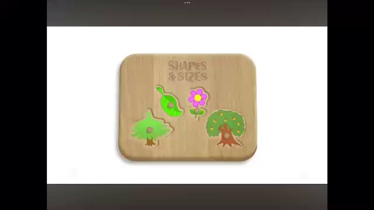Shapes & sizes ep 49 Oak Tree PineTree Green Leaf Flower