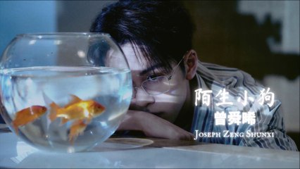 【Joseph Zeng 曾舜晞】 陌生小狗