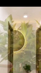 Moon Wall Lamp Minimalist Porch Half-moon Hallway Wall Lights Art Background Leds Lamp