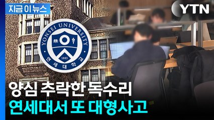 실시간으로 "답 이렇게"...연세대 또 집단 커닝 정황 [지금이뉴스] / YTN