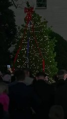 Pete Hegseth hosts first-ever Pentagon Christmas tree lighting