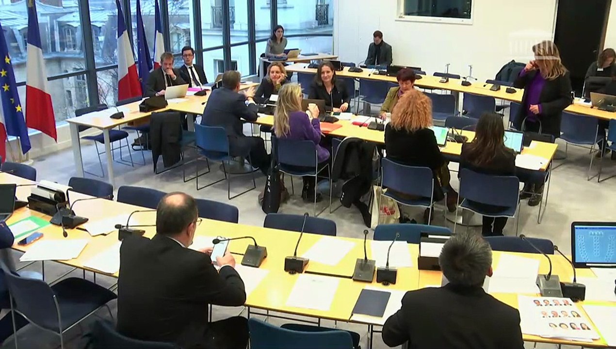 Commission des affaires européennes : Condamner la dérive autoritaire du gouvernement géorgien ; Renforcer l’exécution du règlement européen sur les services numériques à l’égard des plateformes d’e-commerce - Mercredi 3 décembre 2025