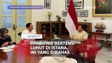 Prabowo Bertemu Luhut di Istana, Ini 3 Hal yang Dibahas