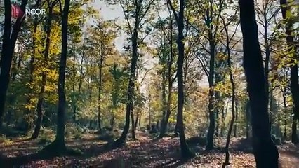 مسلسل المؤسس اورهان الحلقة 4 مترجمة الجزء 2