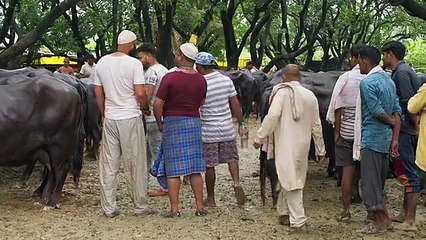 Bhaukaal Season 2 Episode 3 | Hindi Crime Thriller Web Series | Full Episode | Based on True Crime | Action, Drama & Suspense