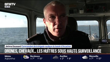 La brigade nautique en lutte contre les vols d'huîtres à l'approche des fêtes sur le bassin d'Arcachon