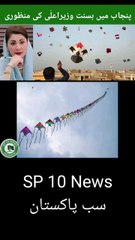 Basant in Punjab and approval from the Chief Minister