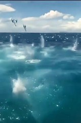 🌊 Water-themed stories 🌍 Nature, oceans, rivers,