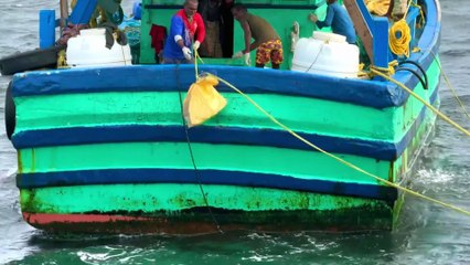 Gulf Waves, Giant Catch — A Luxury Deep Sea Fishing Experience