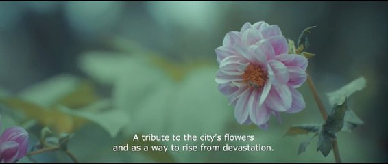 Violet.2025.720p.(Philippines) ESub.