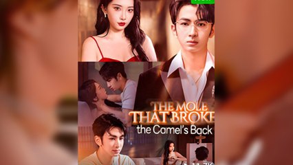 The Mole That Breaks The Camel’s Back - (2025) Full Movie | HD | English Sub