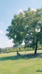 Your Lies Won't Win Again( Full Episodes ) eng sub