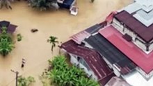 Ini Pemilik PT Toba Pulp Lestari, Perusahaan yang Diduga jadi Biang Kerok Banjir Sumatra