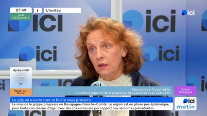 Trois nouveaux foyers de grippe aviaire identifiés ces derniers jours en Côte-d'Or