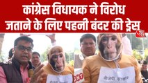 बंदर की ड्रेस पहनकर पहुंचे MLA, भोपाल में कांग्रेस का अनोखा प्रदर्शन; Video