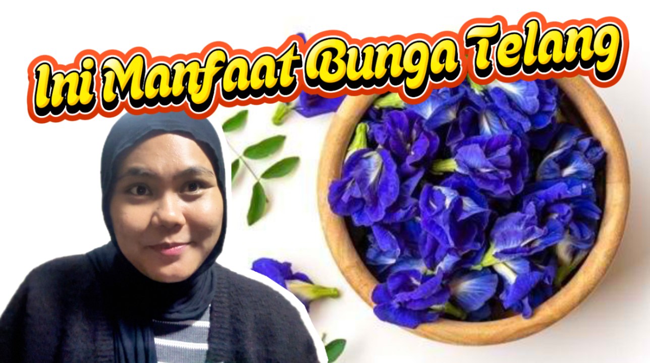 Manfaat Bunga Telang