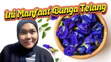 Manfaat Bunga Telang
