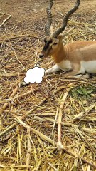 Do you also say the same?