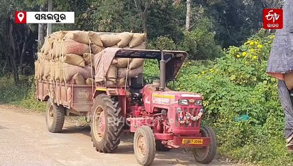 EXPLAINER: କେବେ ବଦଳିବ ଚାଷୀର ଭାଗ୍ୟ ? ସରକାରଙ୍କ ପାଖରେ କେବେ ହେବ ଧାନ କ୍ରୟ ପାଇଁ ଭିତ୍ତିଭୂମି ?