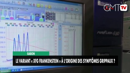 [#Reportage] Gabon : le variant «XFG Frankeinstein» à l'origine des symptômes grippaux?