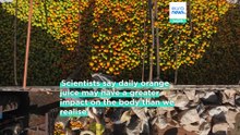 Orange juice found to affect thousands of genes in immune cells, study says