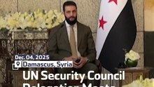 UN Security Council Delegation Meets With Syrian President