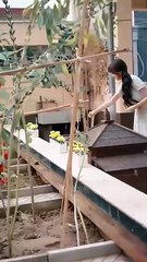 Seeds Of Love Sunlit Days Full Episode