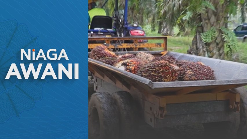 Harga sawit diunjur kekal stabil tahun depan