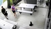 Adorable moment baby seal gatecrashes New Zealand bar