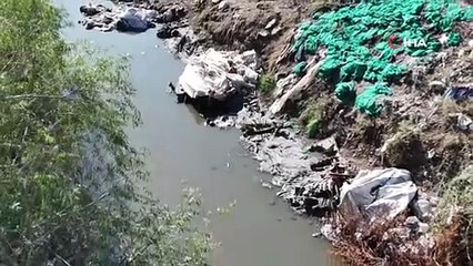 Dere yatağından gelen kokular korkunç gerçeği gözler önüne serdi