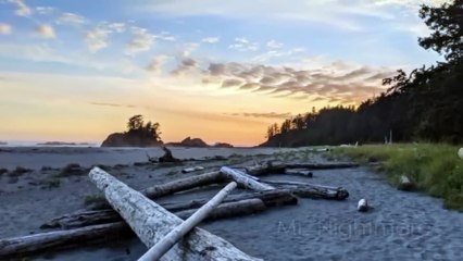 Most Disturbing Encounters in the Woods