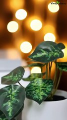 Faux Simulated Potted Plant for Home and Office Decor | Realistic & Low Maintenance!