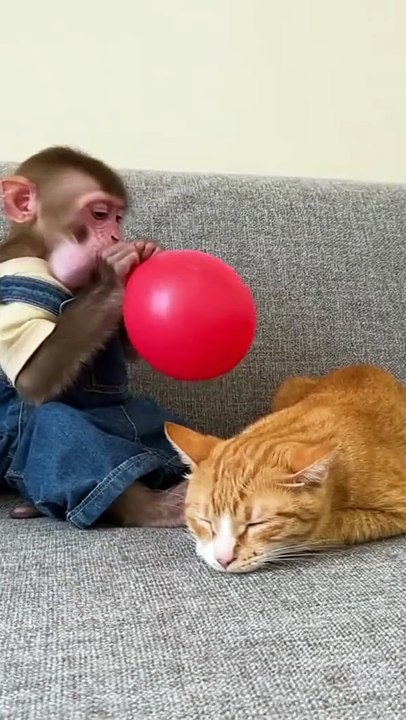Ai video