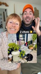 Vous l’avez vu ? En live tous les soirs sur Twitch : arno padawan