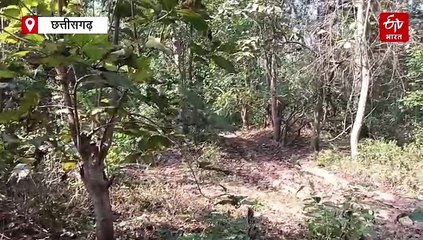 पावरफुल कुकर बम डिफ्यूज, नारायणपुर में एंटी नक्सल ऑपरेशन के दौरान मिली सफलता