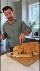 cut cake chalange 😂😂😂  🥰 #funnyvideos  #animals #jhoanduran