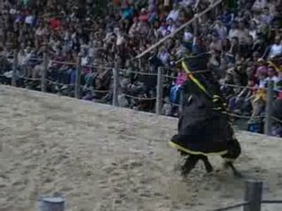 cavalier aux médiévales d'Andilly 2008