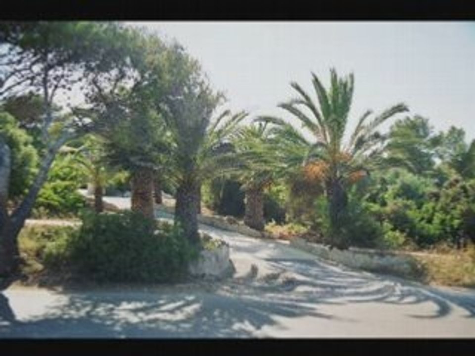 Palma