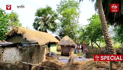 স্বর্গবাসীরা এখন গাছে গাছে, প্রিয়জনদের প্রাণের সঞ্চার করছে 'দত্তক বাগান'