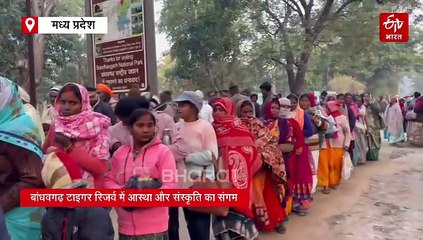 बाघों की दहाड़ के बीच यात्रा करेंगे श्रद्धालु, बांधवगढ़ टाइगर रिजर्व में आस्था और संस्कृति का समागम