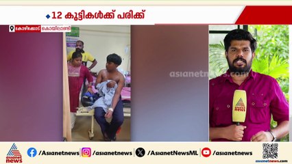 കോഴിക്കോട് സ്കൂൾ വിദ്യാ‍ര്‍ത്ഥികൾക്ക് കടന്നൽ കുത്തേറ്റു; 12 കുട്ടികൾക്ക് പരിക്ക്